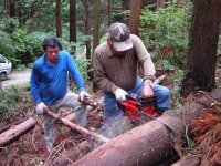 地域おこしの会