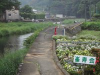 岩科地区河川草刈り