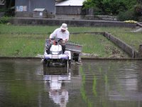 岩科地区田植え
