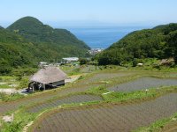 石部の棚田
