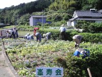 岩科地区峰花壇