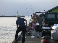 松崎港の釣り