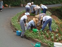 岩地老人会花植え