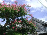 松崎っぽい風景（なまこ壁）