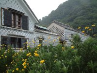 ユリオプステージ