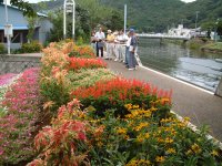 花壇コンクール