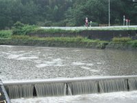 岩科川も雨の影響で濁っています