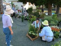 松崎町はなのまちづくり事業