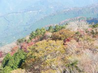 長九郎山紅葉
