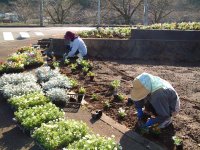 花植え作業