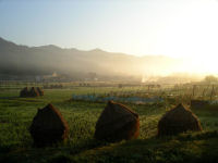 冷たい空気が漂う岩科の早朝景観