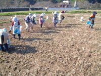 中耕地種まき