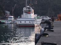 松崎港では・・・