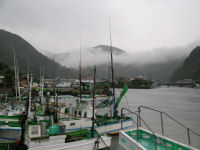 冷たい雨が降りました