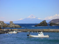 今日の富士山（雲見）