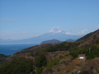 今日の富士山（石部棚田）