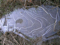 田んぼには薄氷がはっています