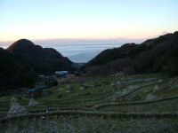 今日の石部棚田です