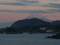 バラ色に薄っすら染まる富士山