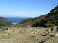 石部棚田の風景と富士山