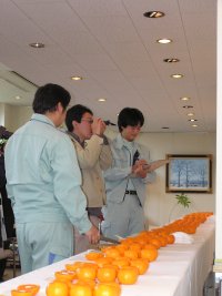 ポンカン品評会