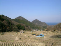 今日の石部棚田です