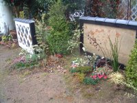 ポケットパーク