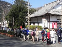 さくら並木ウォーキング