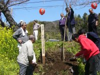 記念植樹