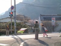 春の交通安全運動