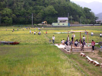 那賀花畑花摘み