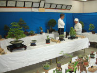 松崎町文化協会盆栽部「盆栽展」