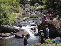 池代渓流釣り大会