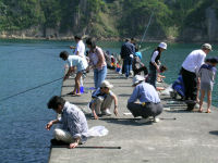 岩地海岸体験ツアー