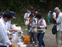 雲見高通山ツツジまつり