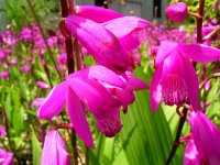 クリーンピア松崎のシラン