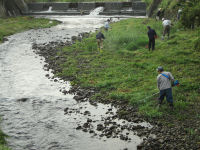 岩科川の河川清掃