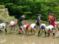 石部棚田田植え