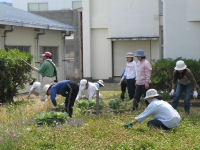 松崎中学校ではPTAの校内清掃が行われました。