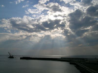 夕陽のシャワー