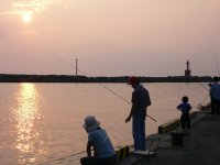 松崎港アジ釣り