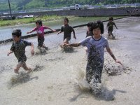 岩科小しろかき