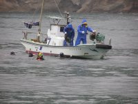 雲見海岸海底清掃