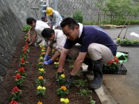花植え作業