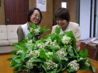 帯広からのスズラン