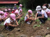 さつまいもつるさし