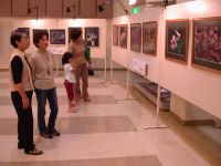 第9回仲間の写真展