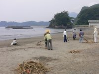 松崎海岸海岸清掃