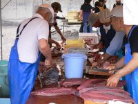 バーベキューなど