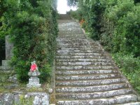 モントブレチア